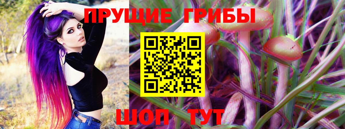 Галлюциногенные грибы ЛСД Бузулук