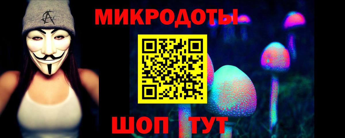 Бузулук  Псилоцибиновые грибы Psilocybine cubensis  Вход с VPN 